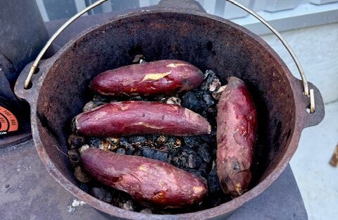 焼き芋